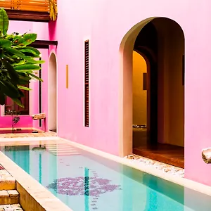 Rosas & Xocolate Boutique And Merida, A Member Of Design ***** Merida